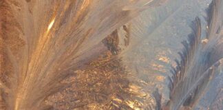 Eskimeyen Bir Tarz Bohem bohem tarzı